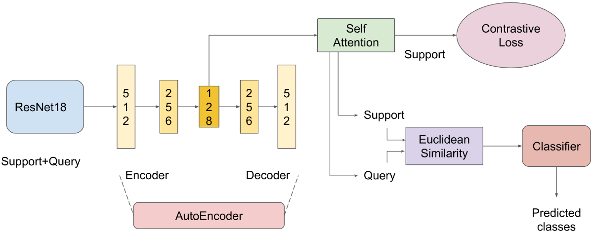 FSL_model_arch.png