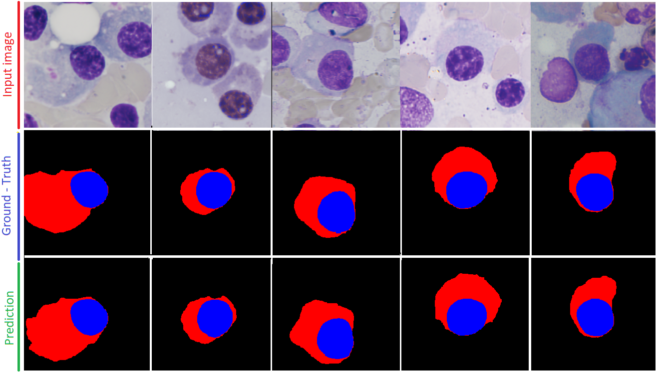 Cell_segmentation.png