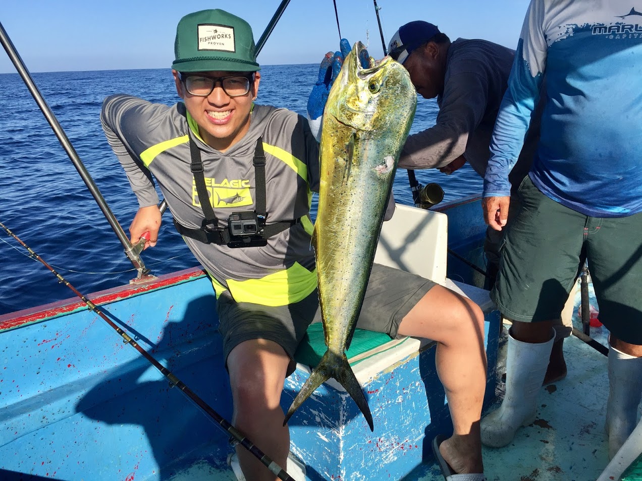 2017-08-16_mahi_mahi.jpg