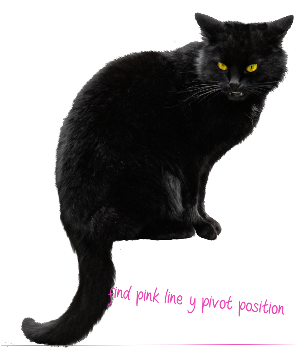 Download-Black-Cat-PNG-File (1).png