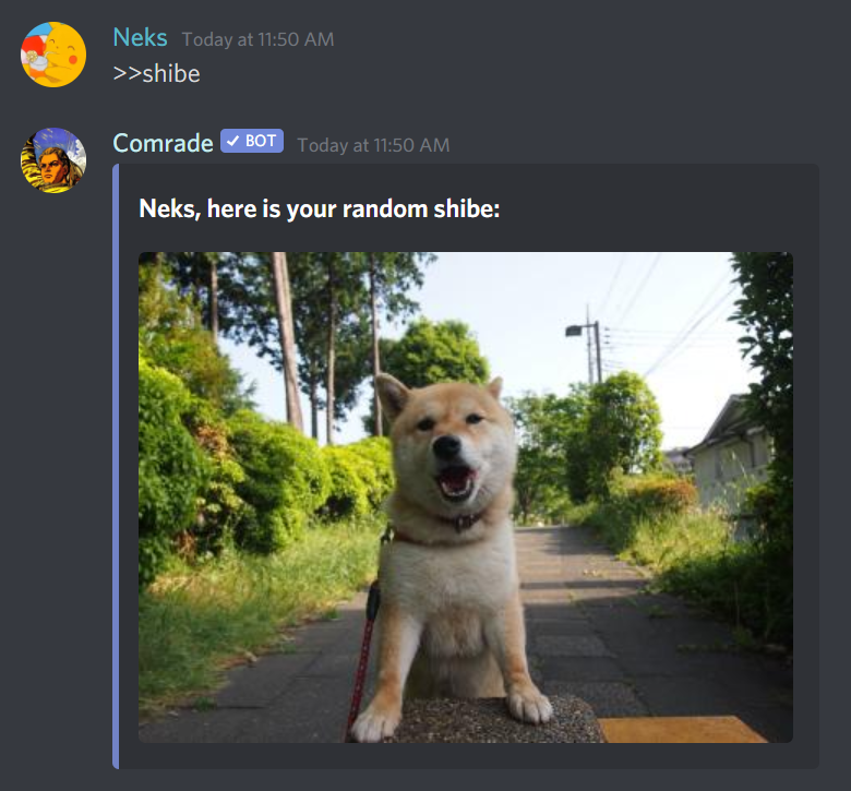 shibe_demo.png