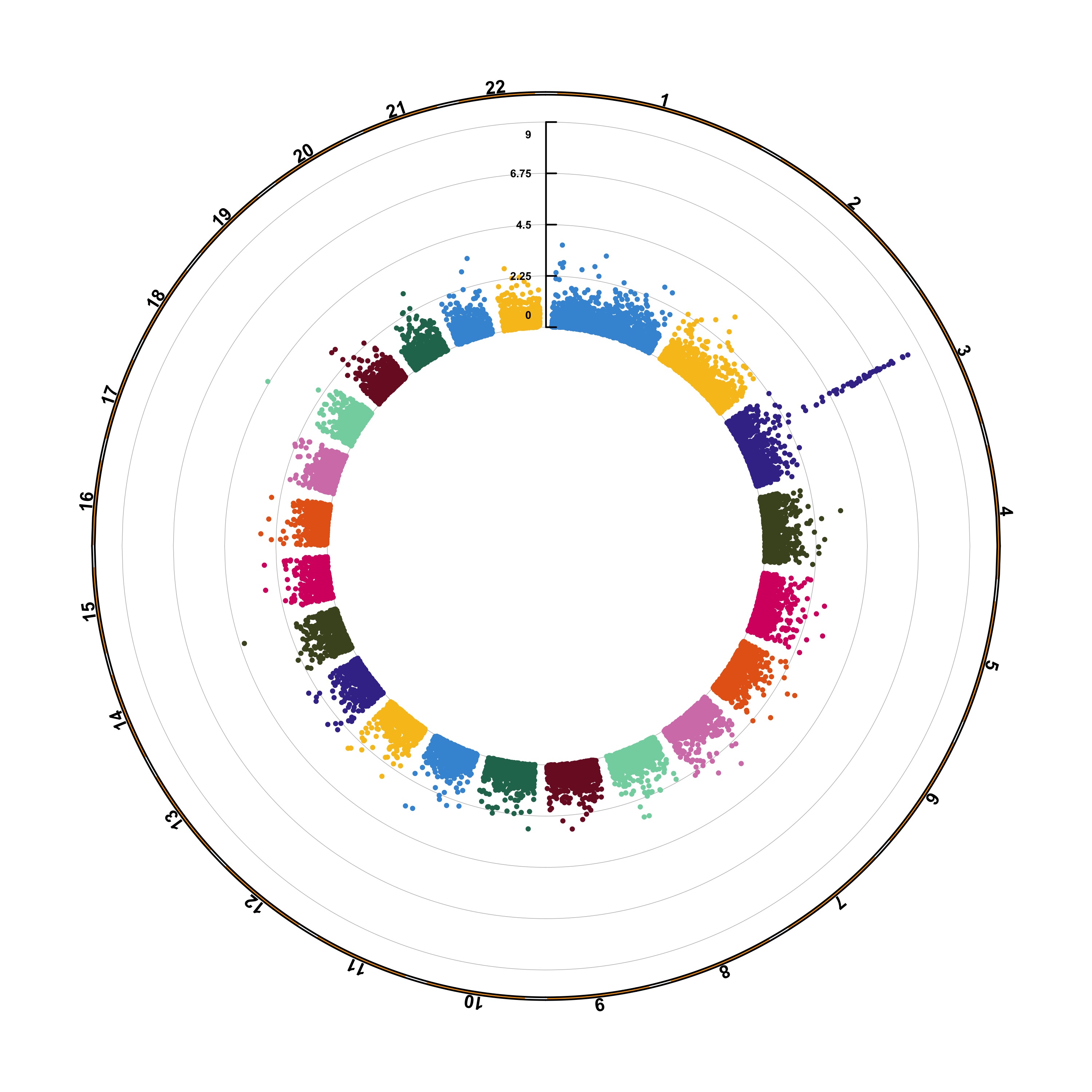 Circular-Manhattan.P.jpg