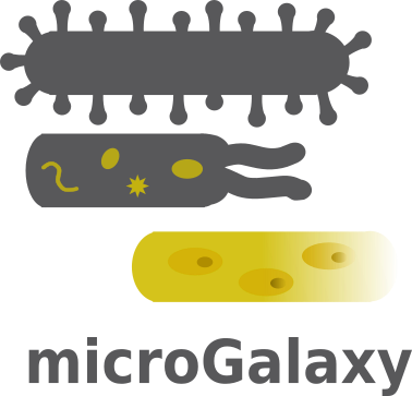 microgalaxy-logo.png