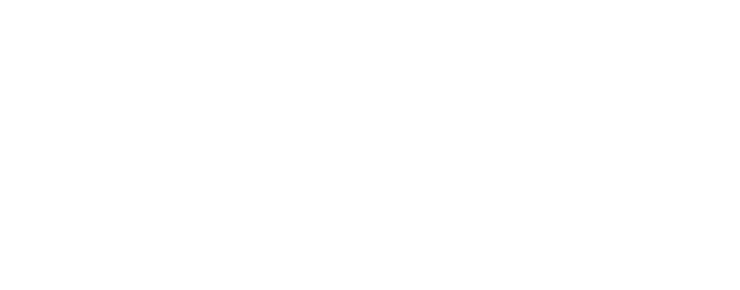 vf-dev-program-white.png