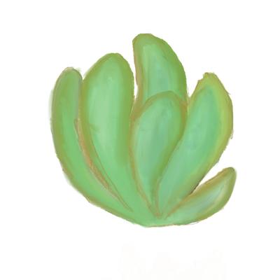 plant7.png